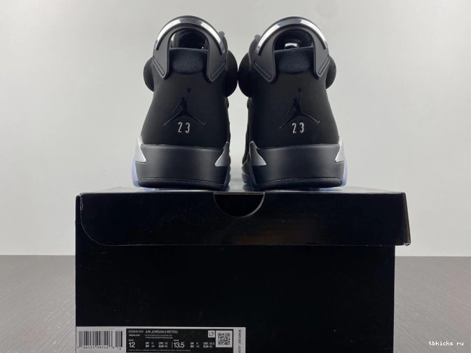 Rep TB Silver Metallic DX2836-001 Jordan Air 6 0824